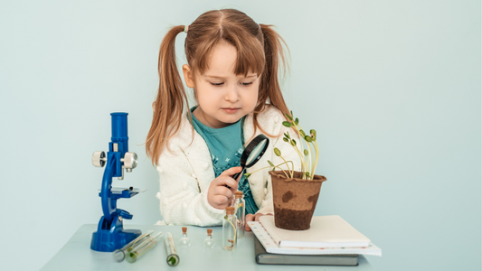 science project kit for kids | Royal Ramakra