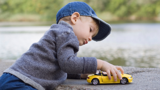 What is the best toy car in the world | Royal Ramakra