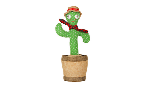 Dancing Cactus Toy | Fun, Interactive & Affordable | Royal Ramakra