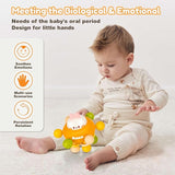Sensory Toys for 0-6 6-12 Months, Baby Teether Teething Toys for Babies 0 3 6 9 12 18 Months,