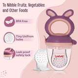 Silicone Food/Fruit Nibbler with Extra Mesh, Soft Pacifier/Feeder, Teether for Baby