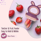 Silicone Food/Fruit Nibbler with Extra Mesh, Soft Pacifier/Feeder, Teether for Baby