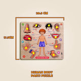 Buy Human Body Part Puzzle Online in India - Durable Wooden Puzzle