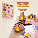 Buy Human Body Part Puzzle Online in India - Durable Wooden Puzzle