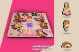 Buy Human Body Part Puzzle Online in India - Durable Wooden Puzzle